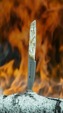 F. DICK Officemesser VIVUM 10 Cm 9 F. DICK Officemesser VIVUM 10 Cm -Weber Verkäufe 4009215188967 DICK VIVUM OFFICEMESSER 83647102H 05