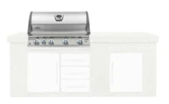 NAPOLEON LEX 605 Einbaugrillaufsatz Edelstahl -Weber Verkäufe Napoleon Produktbild 118