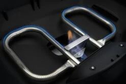 NAPOLEON TravelQ Pro 285 Gasgrill -Weber Verkäufe Napoleon Produktbild 232