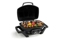 NAPOLEON TravelQ Pro 285 Gasgrill -Weber Verkäufe Napoleon Produktbild 233