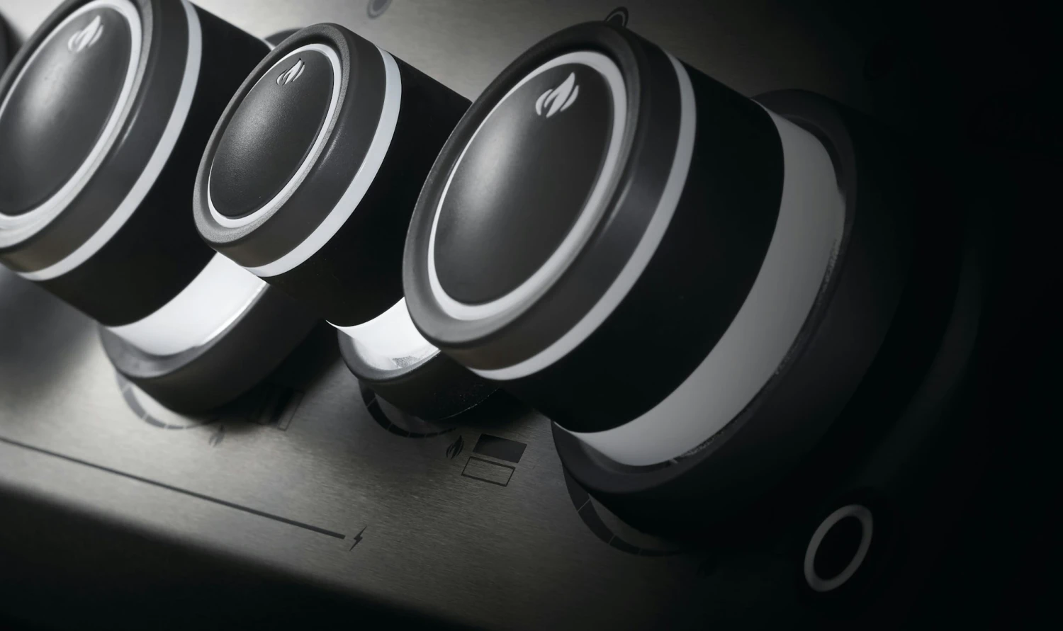 NAPOLEON Rogue SE 425, Edelstahl 4 NAPOLEON Rogue SE 425, Edelstahl – Bild 4