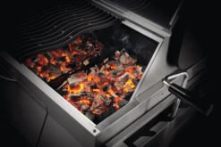 NAPOLEON Charcoal Professional, Edelstahl 22 NAPOLEON Charcoal Professional, Edelstahl -Weber Verkäufe PRO605 charcoal inuse