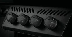 NAPOLEON Phantom Freestyle 425, Mit Edelstahl Rosten Und Tür, Mattschwarz 25 NAPOLEON Phantom Freestyle 425, Mit Edelstahl Rosten Und Tür, Mattschwarz -Weber Verkäufe Phantom Freestyle F425DSIBPK PHM Detail Control Panel