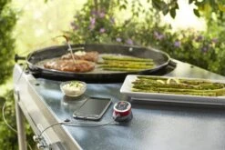 Weber IGrill Mini (7220) 5 Weber IGrill Mini (7220) -Weber Verkäufe Weber iGrill mini 2