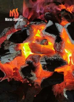 Big Green Egg Woody Holzkohle Aus Buchenholz 10 Kg -Weber Verkäufe bge 0724943369085 Buchenholzkohle 2048x2048