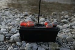 McBrikett KOKOKO EGGS 10kg 32 McBrikett KOKOKO EGGS 10kg -Weber Verkäufe mcbrikett kokoko eggs mood 05