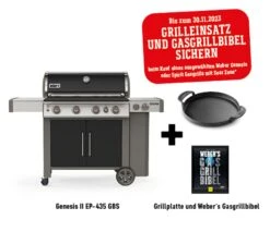 Weber Genesis II EP-435 (GBS) Gasgrill