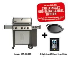 Weber Genesis II SP-335 (GBS) Gasgrill